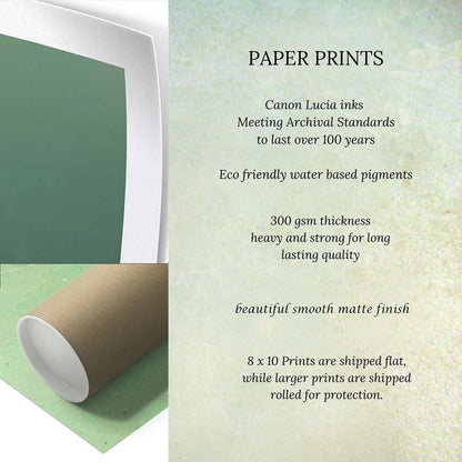 The image is a collage of two images. The left image is a green rectangle, and the right image is a brown cardboard tube. The text in the image provides information about paper prints, including that Canon Lucia inks meet Archival Standards to last over 100 years, and that the paper prints are eco-friendly, with 300 gsm thickness and a beautiful smooth matte finish. The text also mentions that 8 x 10 prints are shipped flat, while larger prints are rolled for protection.
